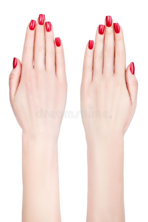 Beautiful female hands. stock image. Image of female – 38621743