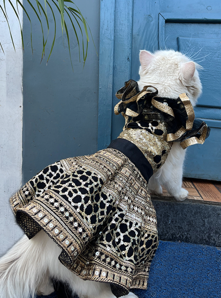 Fezco Pets Lehenga