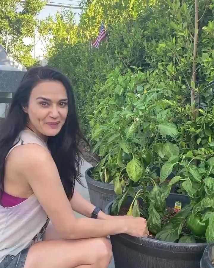 Preity zinta takes up vegetable 🌶 farming at home