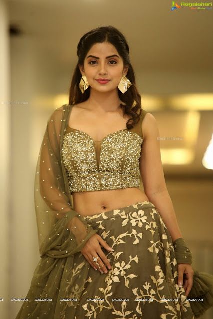 Nartanasala Kashmira Pardeshi Hot Navel in Lehenga Choli. OMG so Spicy!