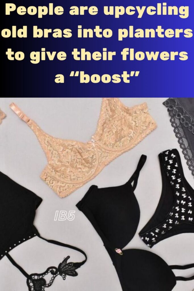 People are upcycling old bras into planters to give their flowers a “boost”